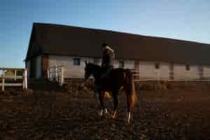 Foto gratuita elegante silueta de caballo contra el cielo del amanecer