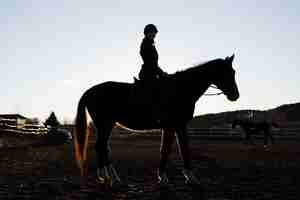 Foto gratuita elegante silueta de caballo contra el cielo del amanecer