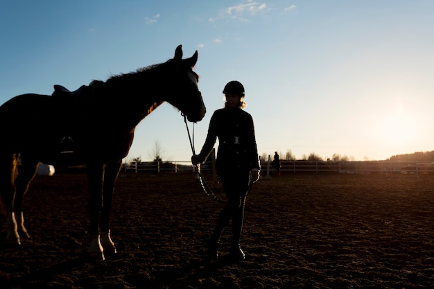 Elegante silueta de caballo contra el cielo del amanecer