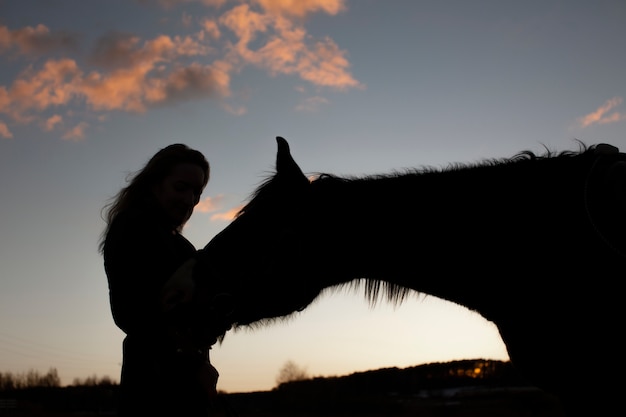 Elegante silueta de caballo contra el cielo del amanecer