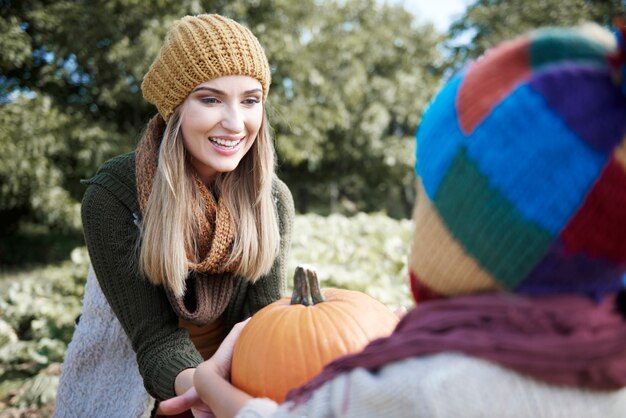 Elegir la calabaza perfecta para Halloween