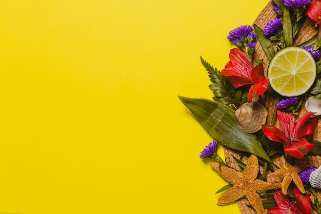 Elementos decorativos con estrellas de mar y flores