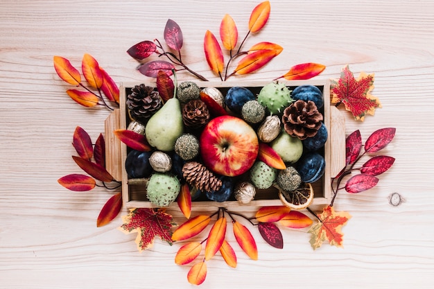 Elementos de otoño y frutas en caja de madera