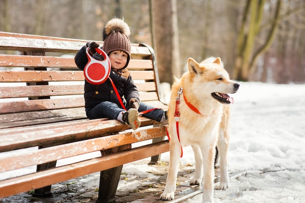 Encantador niño pequeño sostiene la correa Perro Akita-inu sentado en el banco en el parque