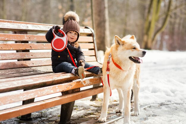 Encantador niño pequeño sostiene la correa Perro Akita-inu sentado en el banco en el parque