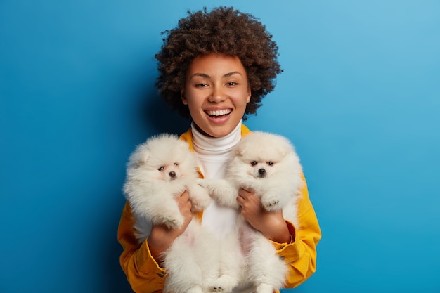 Encantadora niña étnica lleva dos cachorros similares en las manos, escalofríos con perros, feliz de tener tiempo libre, entrenar, prepararse para la competencia de animales, aislados en la pared azul.