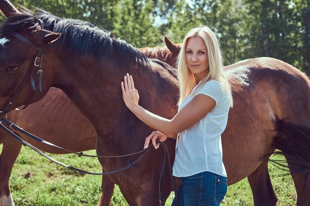 Encantadora rubia hermosa con una blusa blanca y jeans de pie con un caballo en un campo.