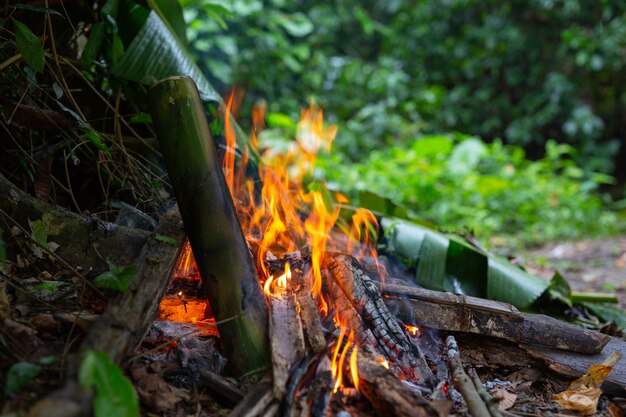 Encendiendo el fuego en el bosque para acampar.