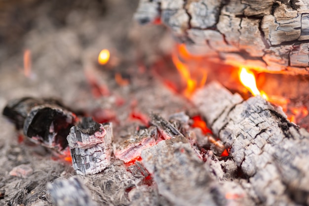 Encendiendo el fuego en el bosque para acampar.