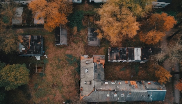 Foto gratuita por encima de la ciudad, las hojas de otoño revelan la belleza de la naturaleza generada por ia