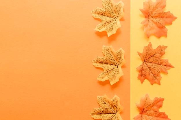 Foto gratuita endecha plana de hojas de otoño en superficie multicolor