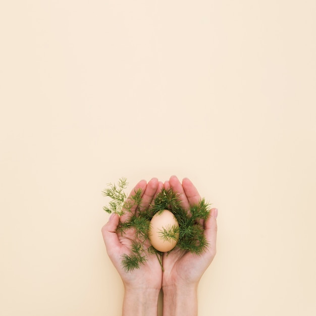 Endecha plana de manos sosteniendo el huevo de pascua con vegetación debajo