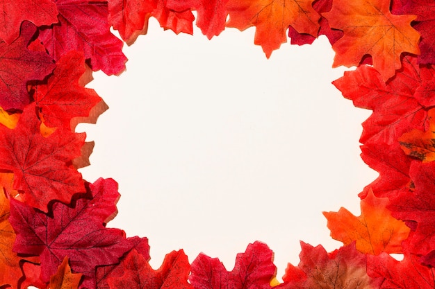 Foto gratuita endecha plana de marco de hojas de otoño