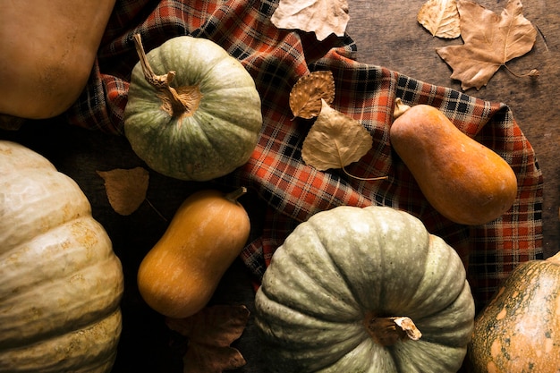 Foto gratuita endecha plana de surtido de calabaza de otoño