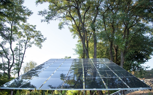 Foto gratuita energía fotovoltaica en la estación de energía solar de energía natural.