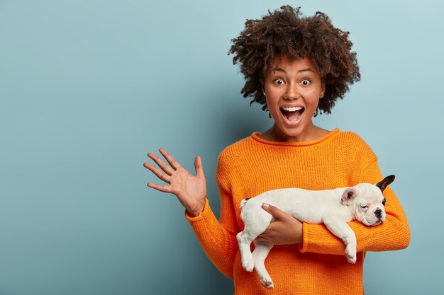 Enérgica y alegre encantadora hembra sostiene un pequeño perro de pedigrí dormido, gesticula activamente desde la felicidad, complacida de ganar la competencia de animales, exclama positivamente, se para sobre la pared azul, espacio en blanco