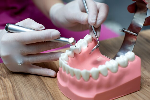 Enfermera practicando en el diseño de la mandíbula con dientes