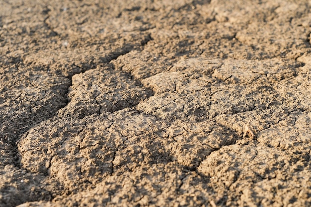 Enfoque selectivo de la tierra seca agrietada debido a la sequía en Europa tierra sin agua crisis de sequía verano críticamente caluroso ríos secos