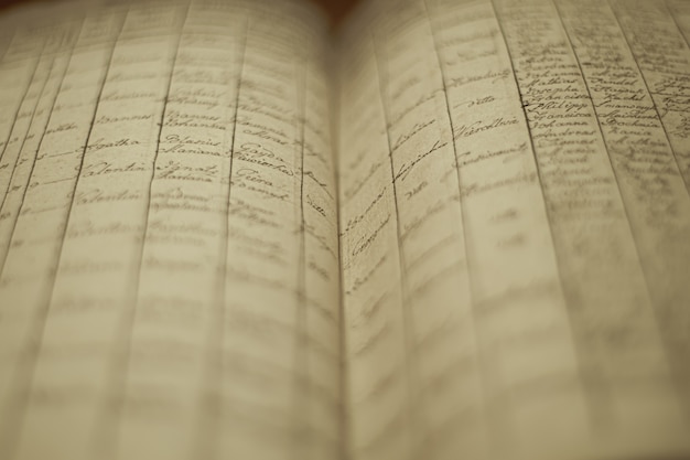 Enfoque suave de un viejo libro de registros locales con una lista de nombres e información de los residentes