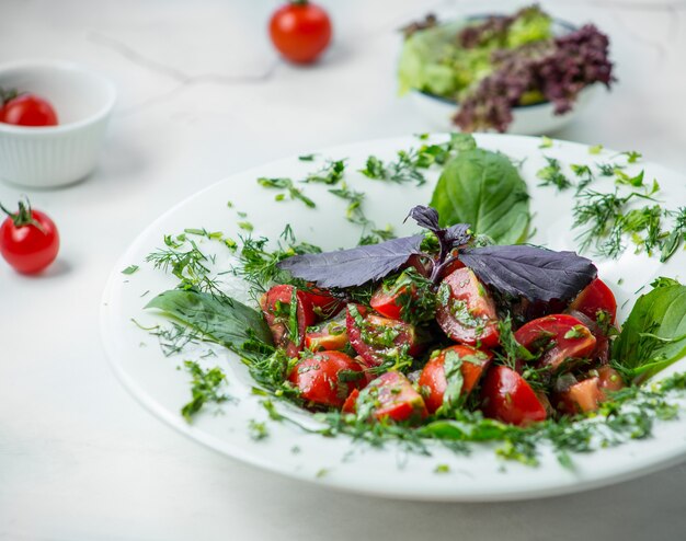 ensalada caprese con salsa de pesto