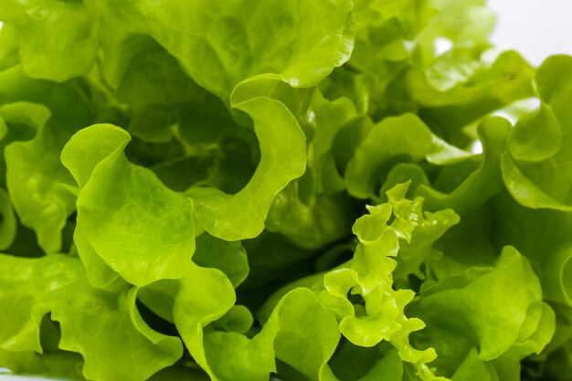 Ensalada deliciosa