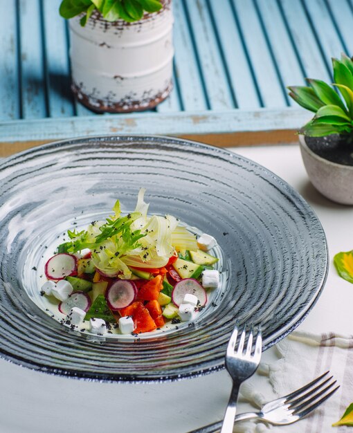 Ensalada de vegetales frescos con rábanos, tomate, pepino, cubitos de queso feta, rúcula