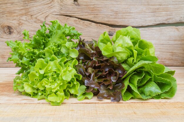 Ensalada de vegetales