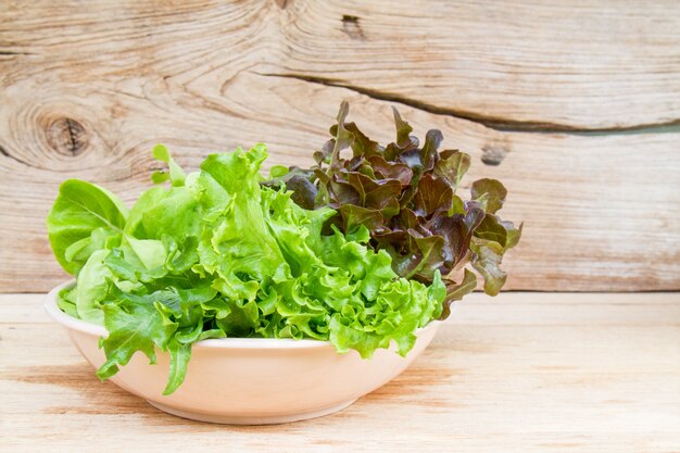 Ensalada de vegetales