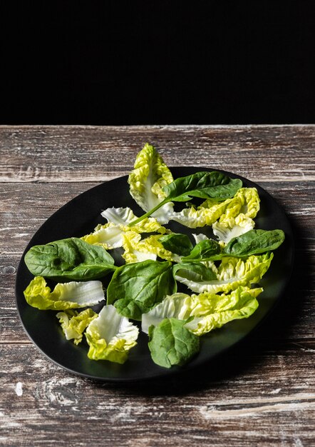 Ensalada de verduras de hoja de alta vista