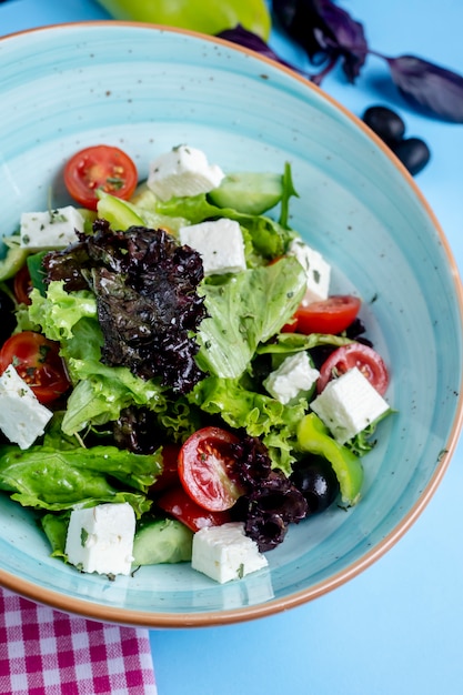 Ensalada de verduras con verdura y queso blanco