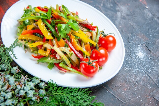 Ensalada de verduras de vista inferior en placa ovalada tomates cherry sobre superficie de color rojo oscuro