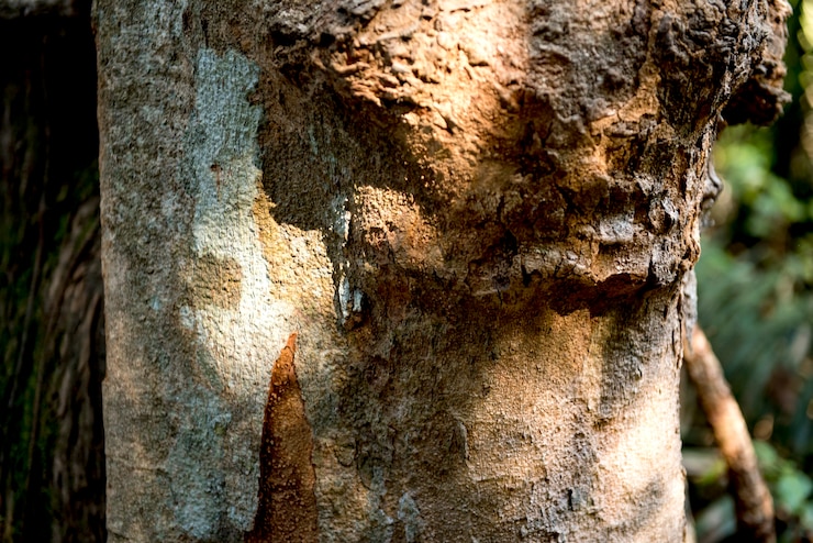 Foto gratuito entorno de crecimiento de la naturaleza ecología ecológica