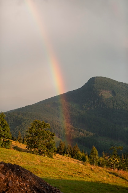 Entorno rural con arco iris a la luz del día.