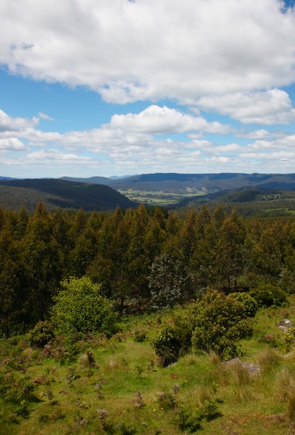 Foto gratuita entorno rural de campo