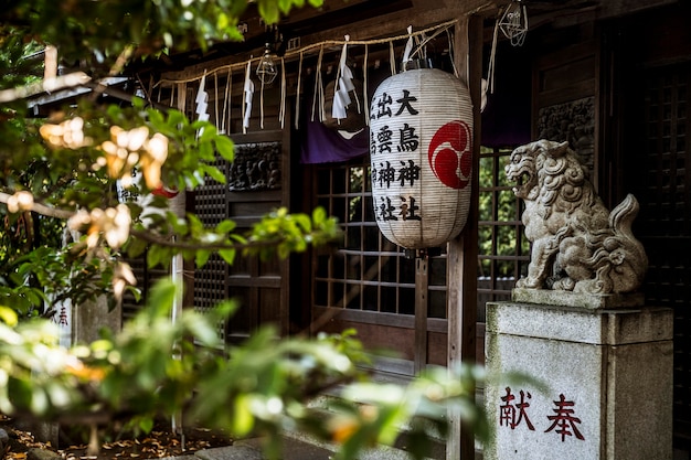 Entrada al templo tradicional japonés con linterna