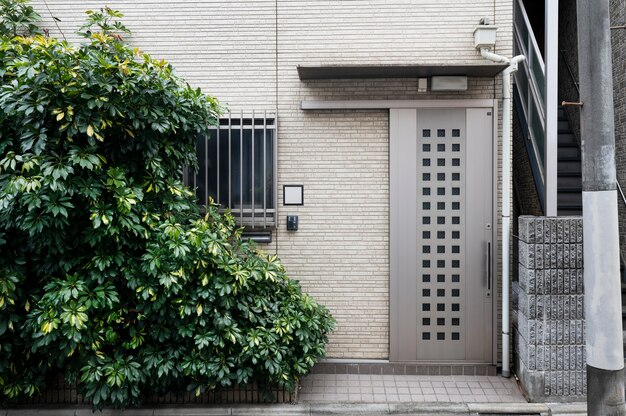 Entrada de casa japonesa con planta.