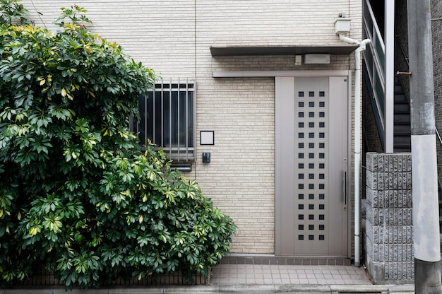 Entrada de casa japonesa con planta.