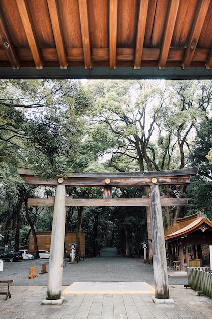 Foto gratuita entrada de la puerta torii en japon