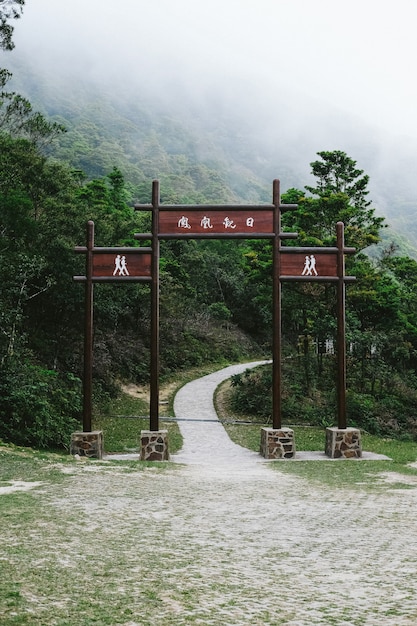 Entrada a las selvas asiáticas