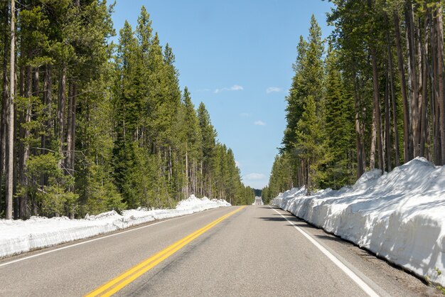 Entrada sur solitaria a Yellowstone en invierno