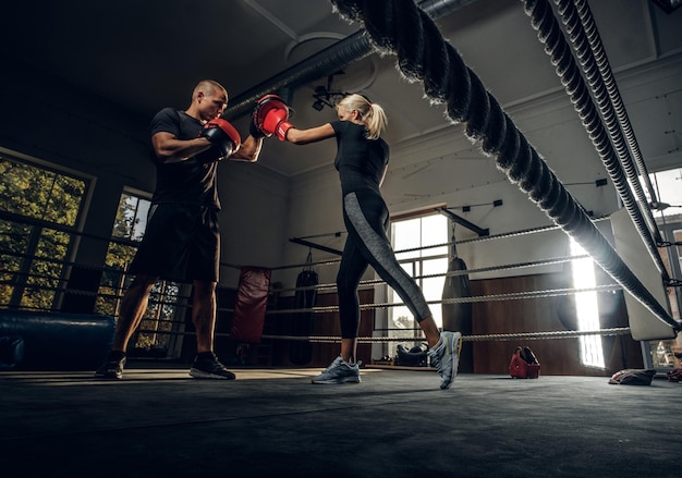 Foto gratuita entrenador de boxeo y su nuevo alumno tienen un sparring en el ring con guantes de boxeo.