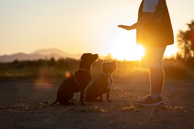 Entrenador de perros saltando con perros