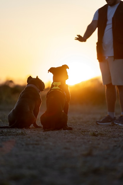 Entrenador de perros saltando con perros