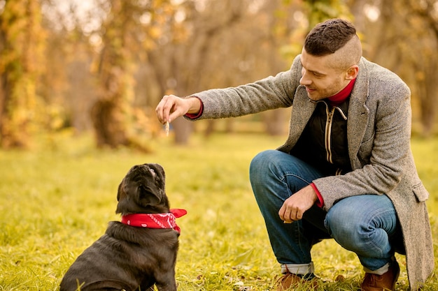 Foto gratuita entrenamiento canino. un hombre entrenando a su perro en el parque.