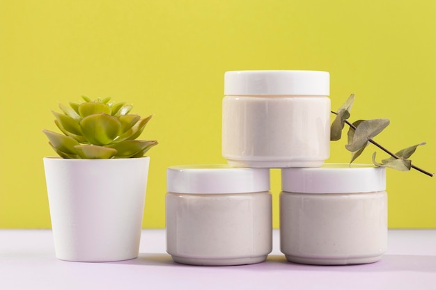 Foto gratuita envases de crema con planta en maceta