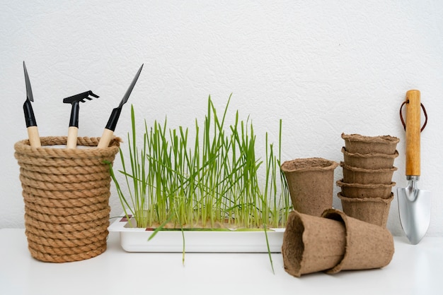 Equipo de cultivo de plantas