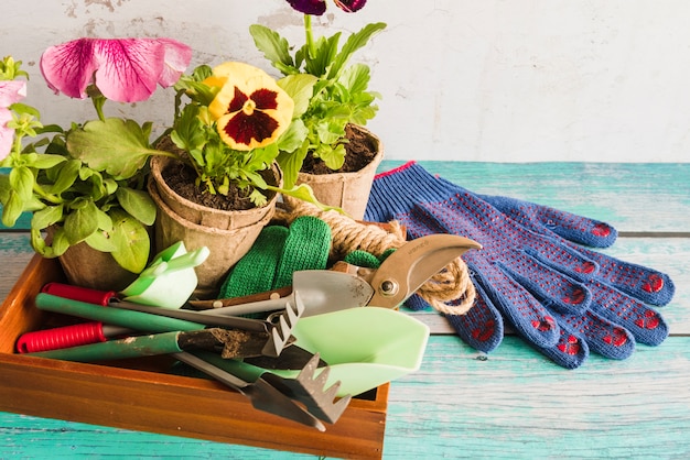 Equipo de jardinería con planta de macetas de turba y guantes de jardinería en mesa de madera