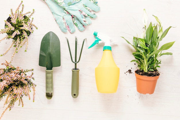 Equipos de jardinería y guante con plantas en macetas dispuestas sobre una mesa blanca