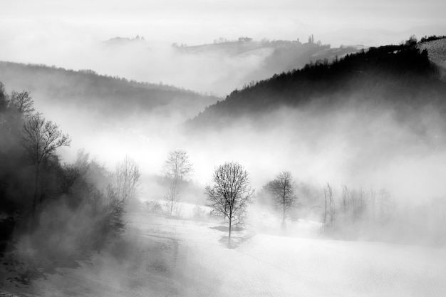 Escala de grises de colinas cubiertas de bosques y niebla bajo un cielo nublado en las Langhe en Italia