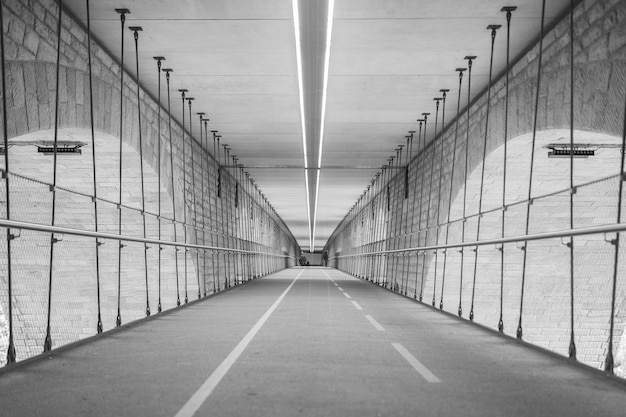 Escala de grises de un túnel rodeado por las luces durante el día